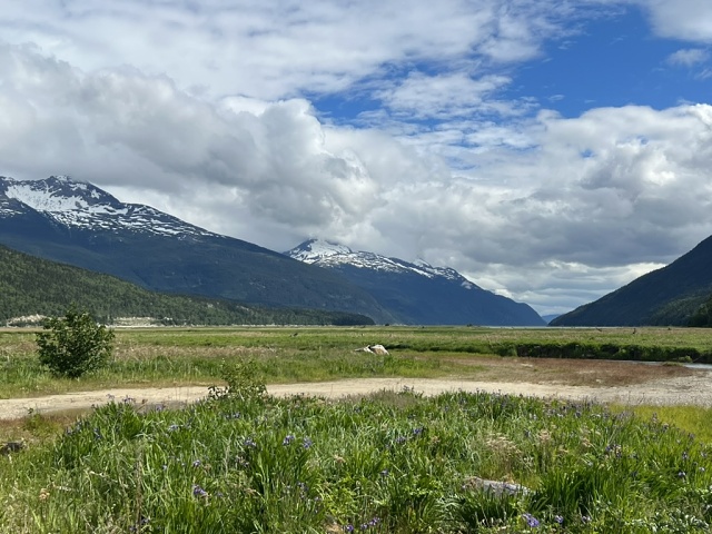 0BD908BE-F877-482D-8F33-E6767BD8150A 1 105 C