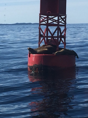 1E7BA876-79C5-4195-A530-FE018BB8E1F3 1 105 C