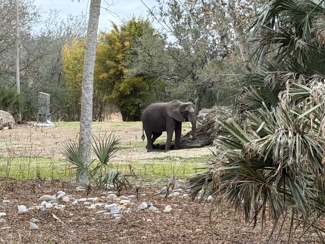 01E735C4-4D7E-4498-88B9-FB5219363CE2 1 105 C