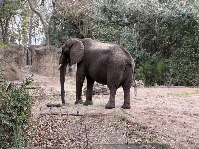 073AB376-C9F7-4239-9798-A8F661C3C40C 1 105 C