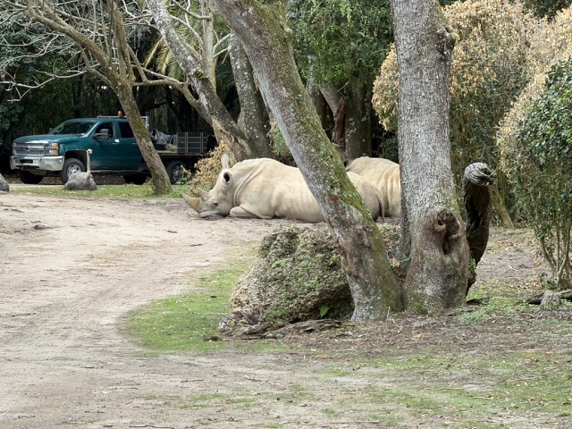 347AF68A-7936-4BED-8920-9886B4411F21 1 105 C