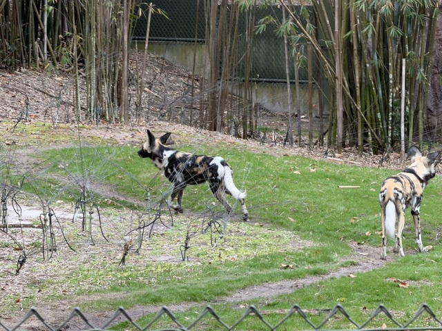 3B68B992-9AFB-47A0-98BB-118963B5F535 1 105 C