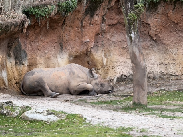 6128CF72-B366-4FC6-8151-13F9C1A61B4D 1 105 C