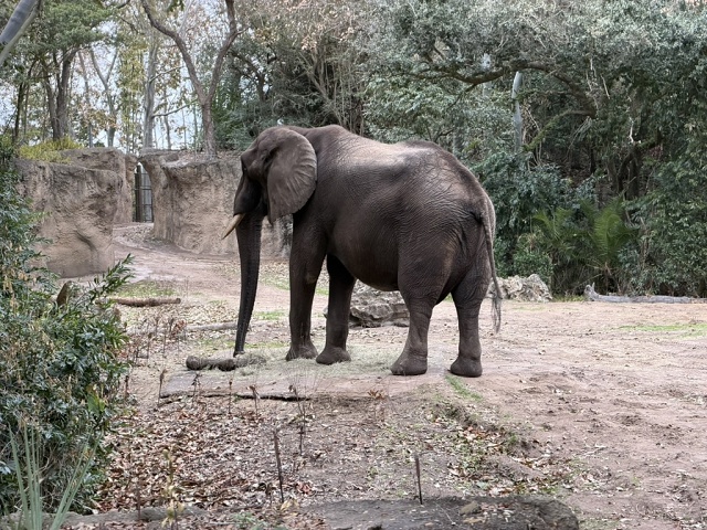 663B6BD6-3051-4EC4-B9F8-9F9F84E52581 1 105 C