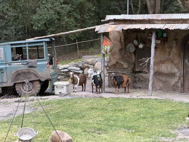 6CEFEB21-3F27-45FD-A3E2-B400095663DB 1 105 C