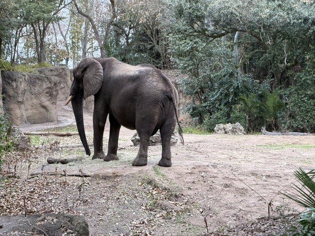 7F4CBBCB-FD13-413F-9246-48F9A53E56A2 1 105 C