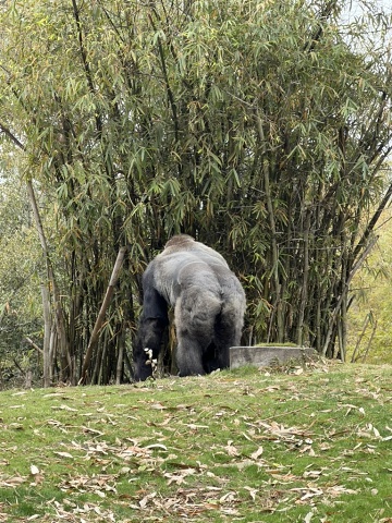 7F5F07CB-9D4B-4F9C-9865-15BAF1EA8768 1 105 C