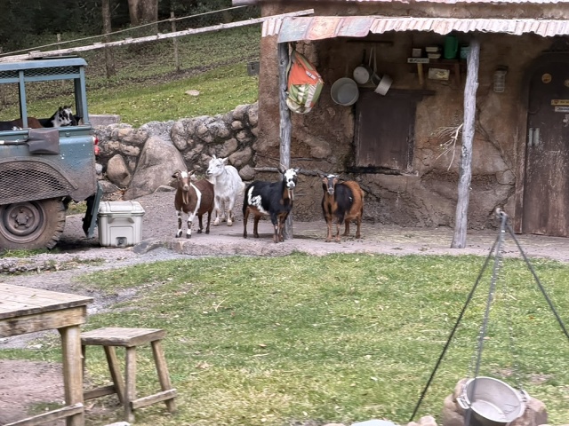 8397AB9E-5B9F-463B-BBB1-67347663975A 1 105 C