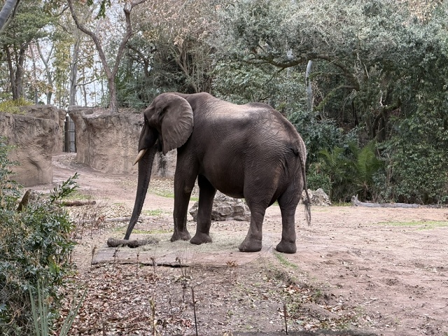 888BF331-6AC3-45EA-A127-2564BD6A4310 1 105 C