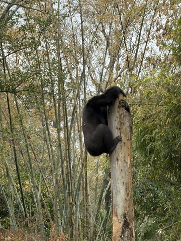 8E4111C5-A811-4281-82DD-4756B03C7119 1 105 C