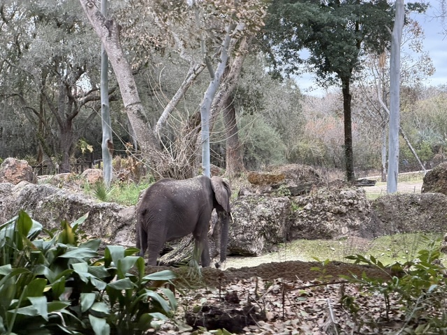 917BE35E-8B5B-4568-8CF7-1A1564DC47B4 1 105 C