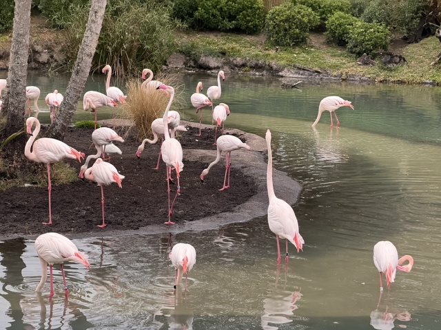 9C367D3F-8FA2-429F-A0EE-937B7F40930C 1 105 C