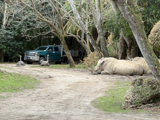 A22D07DE-A086-499D-AE34-B5D7BD1C4C82 1 105 C