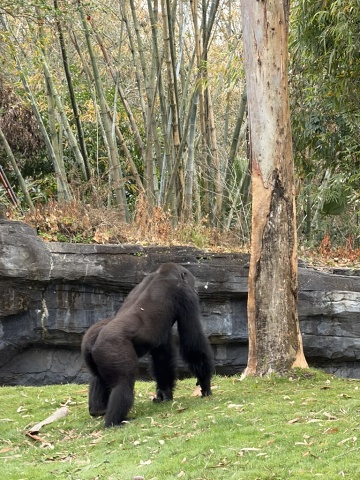 B089569A-8250-4961-AD12-5AA2697F353E 1 105 C