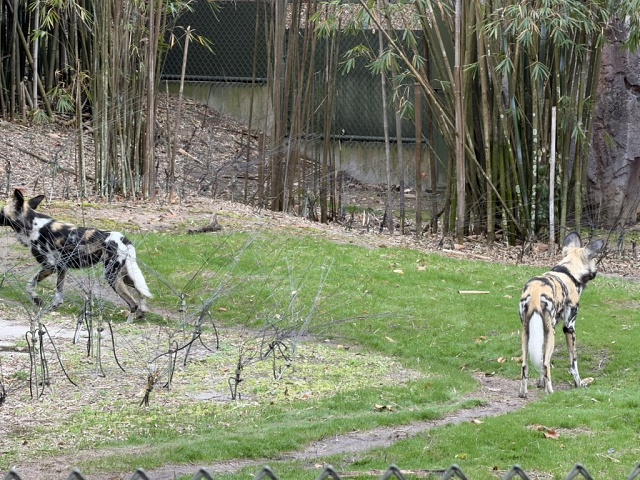 C7BA57DD-88A3-4BC5-A0E5-EF1A7F5FFAA2 1 105 C