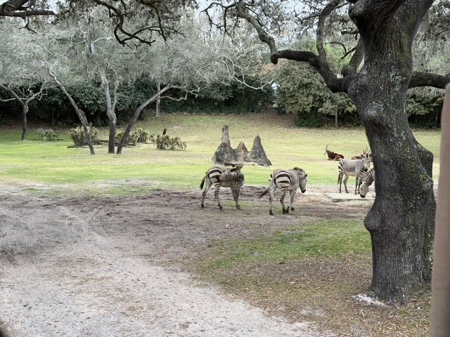 CAC02D1D-9DF6-4DEF-867D-73A160E7117A 1 105 C