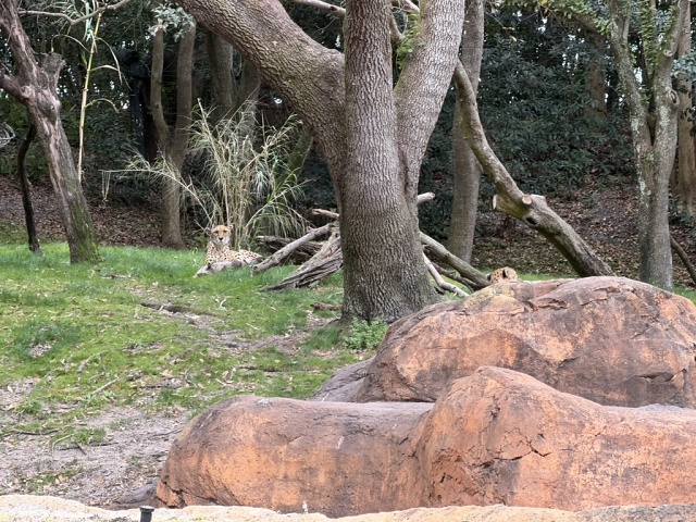 D6998FB9-C707-4B30-BFAA-BE1996CFBBBD 1 105 C