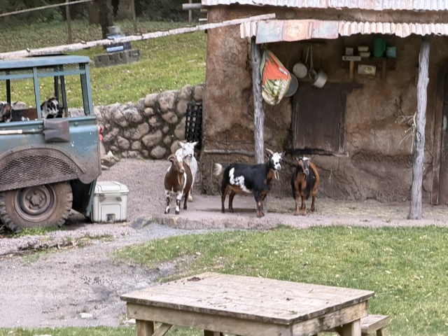 DC1E1BB9-3C83-4074-824A-1C859D42D348 1 105 C