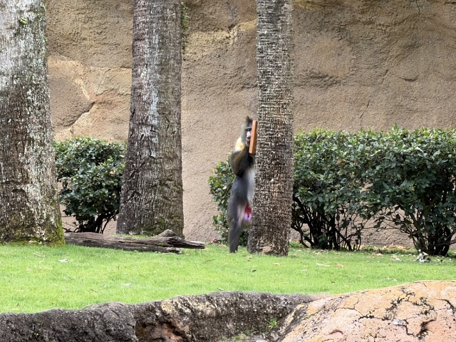 E7DF6F4D-268E-4500-96D9-FE518307B006 1 105 C