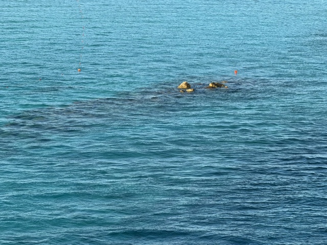 1A79F927-E6EC-4174-B731-63D86002A5AB 1 105 C