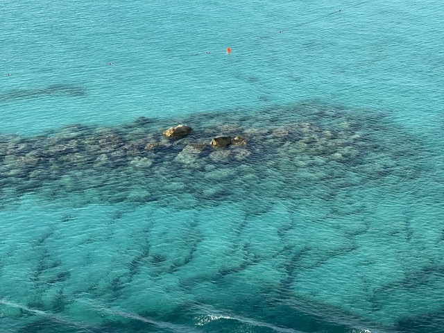 4397E33F-6D27-4F6F-925E-972182D2E5DF 1 105 C