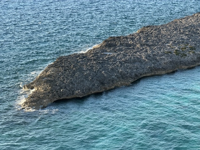 975121C7-392F-475A-A16C-FC0449A7074A 1 105 C