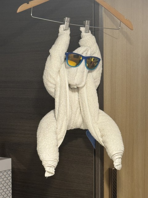 Cruise Towel Animal