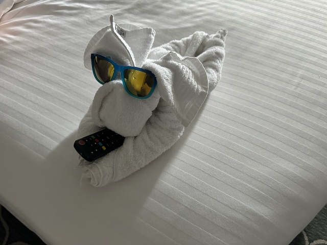 Cruise Towel Dog