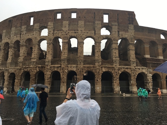 E61502D8-E98C-4600-9EA9-1D6684B2B90A 1 105 C