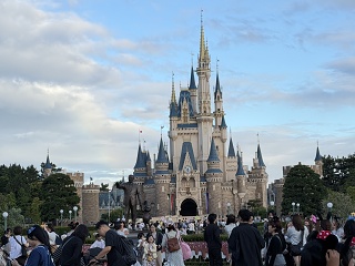 IMG 6989