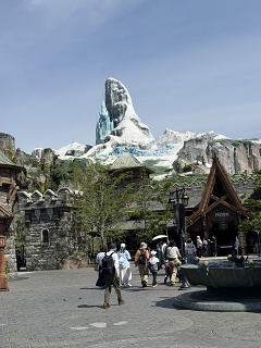 IMG 7016