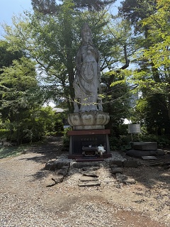 IMG 7145