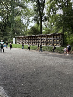 IMG 7216