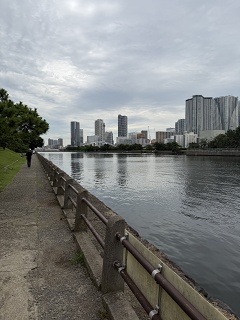 IMG 7226