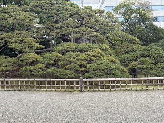 IMG 7242