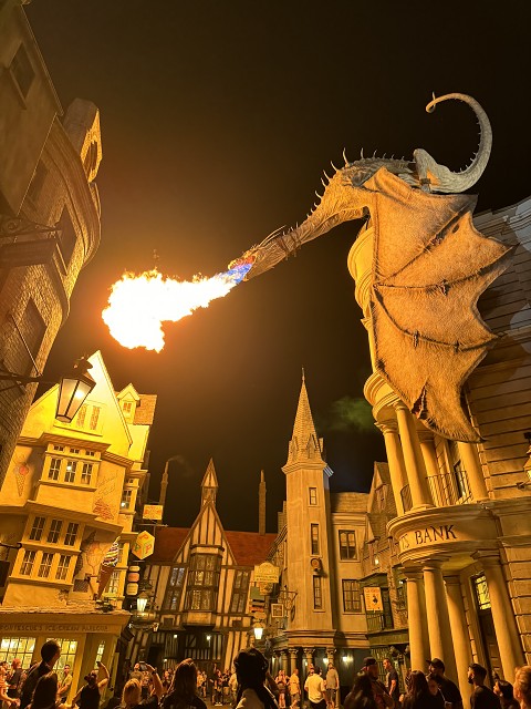 Diagon Alley Dragon